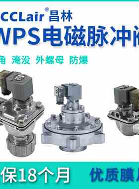 WPS-Y-50S/62S/76S淹没WPS-CA/TG20/25/40/50直角45脉冲阀EP62/76