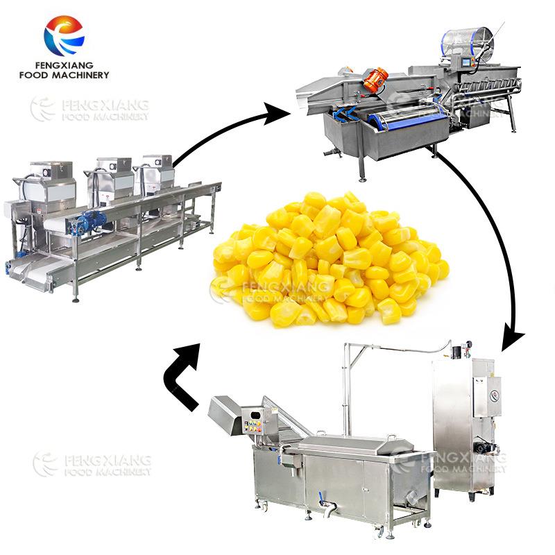 工厂直销果蔬网带式蒸汽漂烫机商用全自动高温杀青玉米解决方案