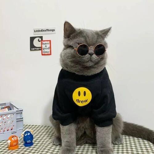 狗狗猫咪衣服秋冬加绒款比熊法斗宠物衣服柯基泰迪博美小型犬