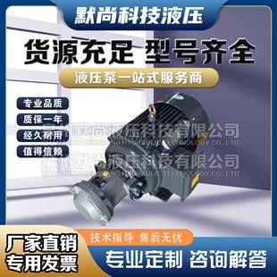 5.5KW液压泵总成内轴电机液压站配件系统 液压柱塞油泵电机组HY10