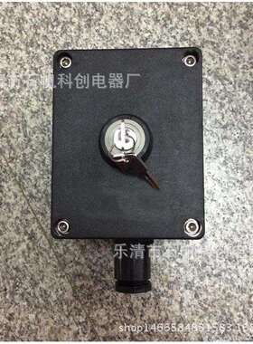 防爆防腐带锁开关 BCS-10A-G-S1/1D