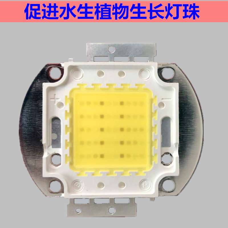 50W70W全光谱LED集成AT2 AT3灯珠水草灯鱼缸水族箱灯照明藻缸芯片