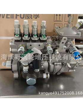 喷油泵BHF4PM105312 4PM196 JS3HA11011和4PM1102 JS3HA110041