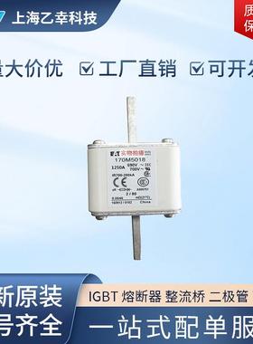 巴斯曼熔断器 170M5166 170M5167 170M5168 170M5174 170M5175