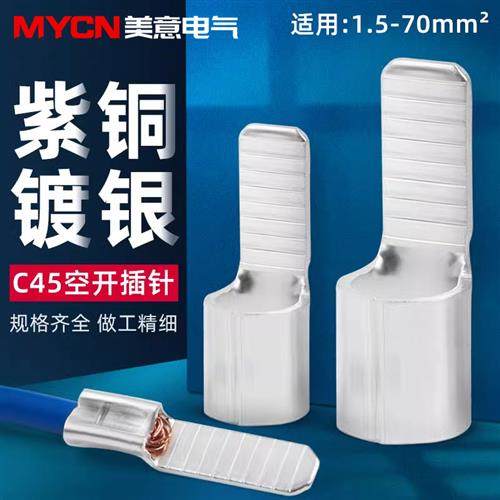 紫铜接头C45插针接线端子空开空气开关插片针式线鼻子连接器压接,电子/电工,接线端子,淘宝优惠券,粉丝福利购,淘宝优惠卷