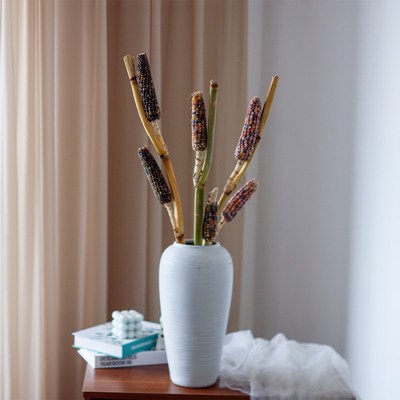 小玉米花束云南直发室内高级w感装饰插花小众花材鲜切干花枝条真