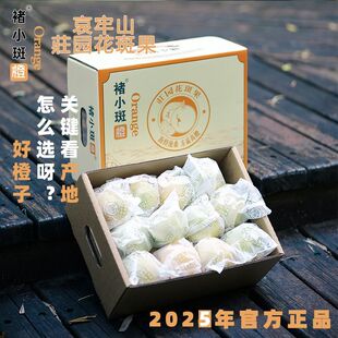 褚小斑2025花斑果云南玉溪哀牢山冰糖橙鲜果新鲜当季水果玉溪特产