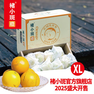 云南哀牢山玉溪花斑果超甜橙子新鲜水果薄皮纯甜多汁精品礼盒包邮