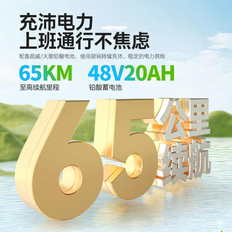 五星钻豹新国标48V20AH铅酸65km续航电动V自行车 A13