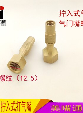 汽车轮胎拧入内丝充气软管打气嘴接头充气嘴快速加气咀胎压气压表