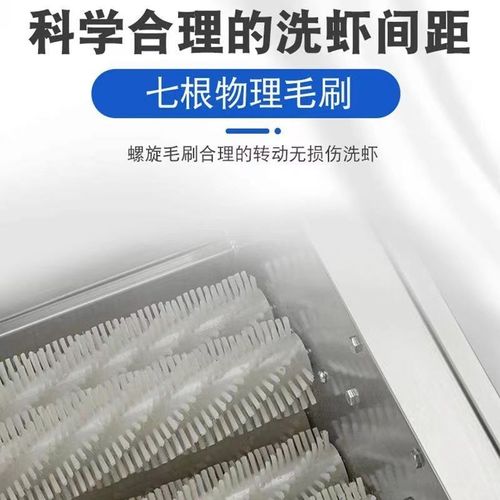 小龙虾清洗机全自动智能洗虾机