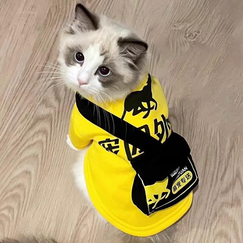 宠物猫咪衣服春夏季外卖服饰搞怪恶搞猫狗小型犬抖音搞笑装快递喵