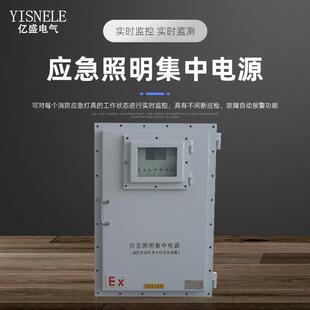 供應(yīng)A型消防安全疏散配電箱電源開關(guān)控制防爆應(yīng)急照明集中電源箱