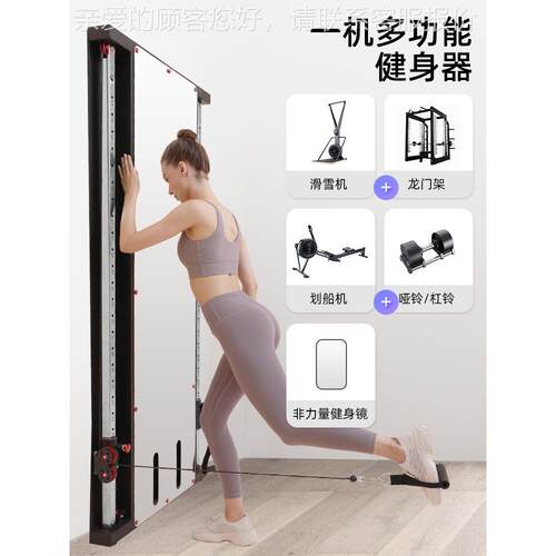 体小鸟龙门架单双飞边贴墙械飞TS004鸟综合训练器家用墙镜面靠墙
