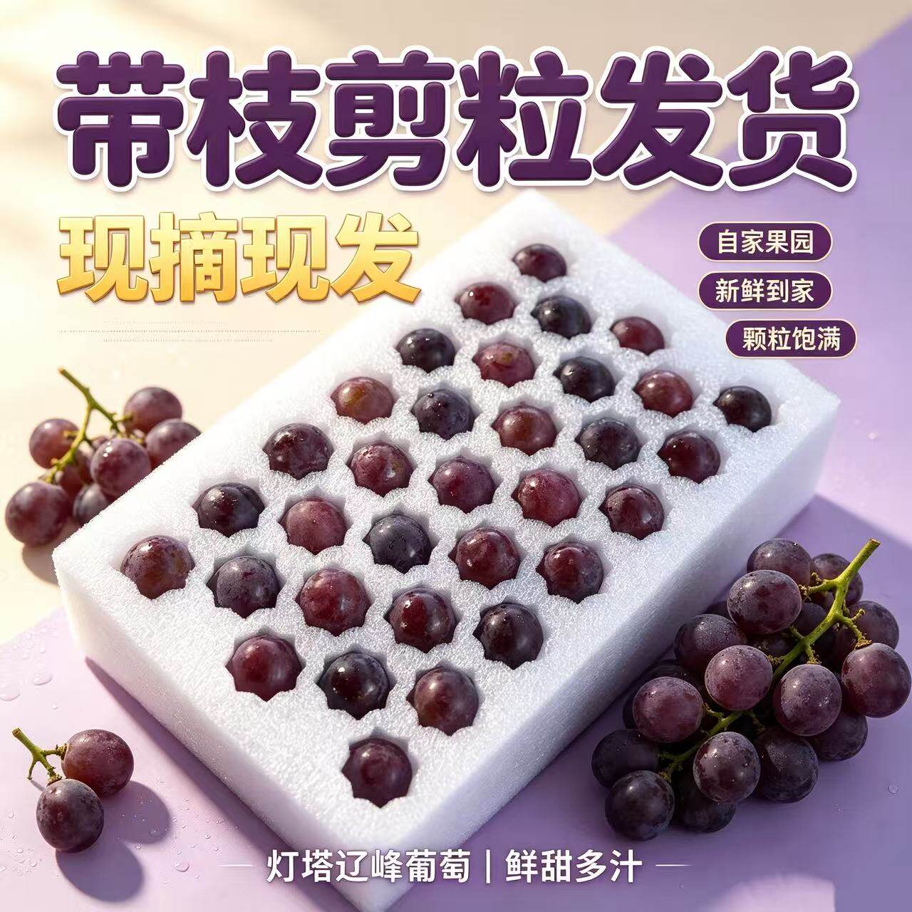 【顺丰包邮】辽宁灯塔自种现采现发辽峰葡萄精品颗粒装产地直发