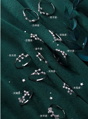 十二星座专属戒指女s925纯银开口指环小众高级感韩版小清新镶钻戒