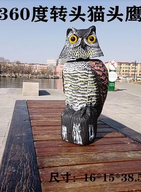 户外驱鸟神器仿真猫头鹰摆件园林驱鼠驱鸟神器赶鸟器仓库阳台驱鸟