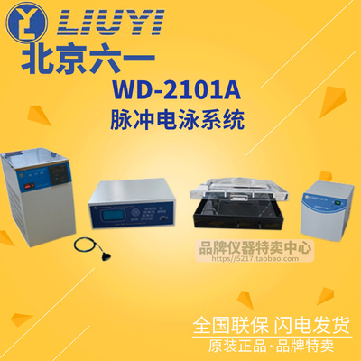 。北京六一脉冲电泳系统WD-2101A产品编号131-0110