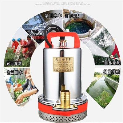 直流潜水泵家用农用水井12V水泵48V60V电瓶电R动车小型洗车抽水泵