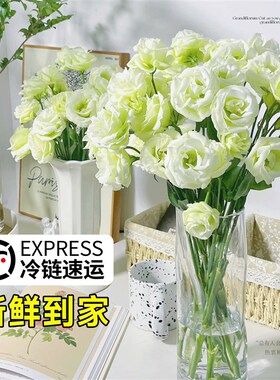 极速洋桔梗d鲜花花束重瓣云南鲜花基地直发白紫色洋桔梗水养插花