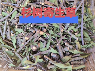 云南纯生态杉树寄生 杉寄生 杉木寄生 中草药 切段干品散装包邮