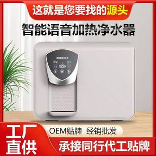 录播净水器家用语音加热一体机RO反渗透过滤双出水直饮机现货