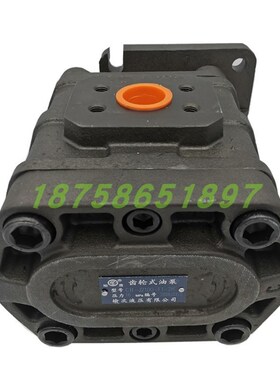 榆次液压高压齿轮油泵CB-J2063 2D080 2100-F1-1R/2R L