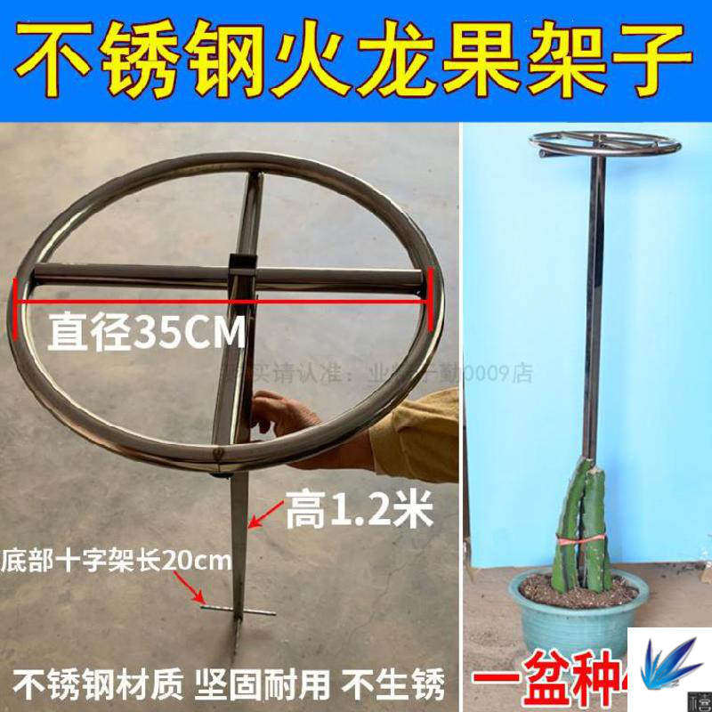 不锈钢花架定制白心火龙果我想买棚架1.2m高藤蔓造型园艺支撑架的