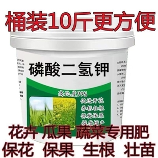 厂家直销磷酸二氢钾桶装化肥有机肥种菜种花蔬菜果树花卉专用花肥