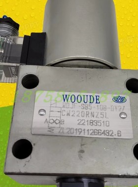 WDJF-SB5-10B-DnY2/ CW220RNZ5L WOOUDE 卸荷阀 电磁换向阀 油压
