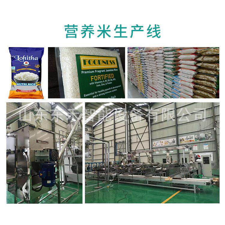 人造大米生产线 面包糠面包屑生产设备 双螺杆杂粮食品挤压机