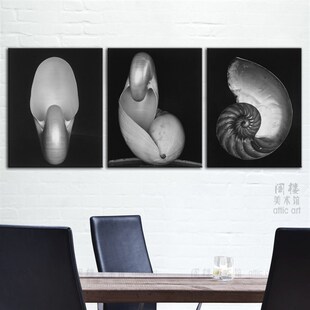 贝壳 Edward Weston 爱德华 韦F斯顿大师摄影装饰画民宿酒店样板