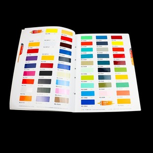 2021版 202E0 液体涂料色卡自行车色卡 台湾永翔色卡Y.S.Paint 新款