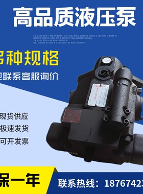 台湾柱塞b油泵V15A2R10X V型柱塞泵V15A4R10X