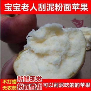 红星粉面苹果宝宝老人刮泥吃的红香蕉苹果新鲜甜面粉苹果5斤