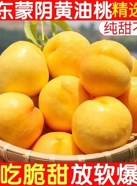 山东蒙阴黄油桃现摘脆甜软甜桃子油桃非毛桃孕妇宝宝当季水果包邮