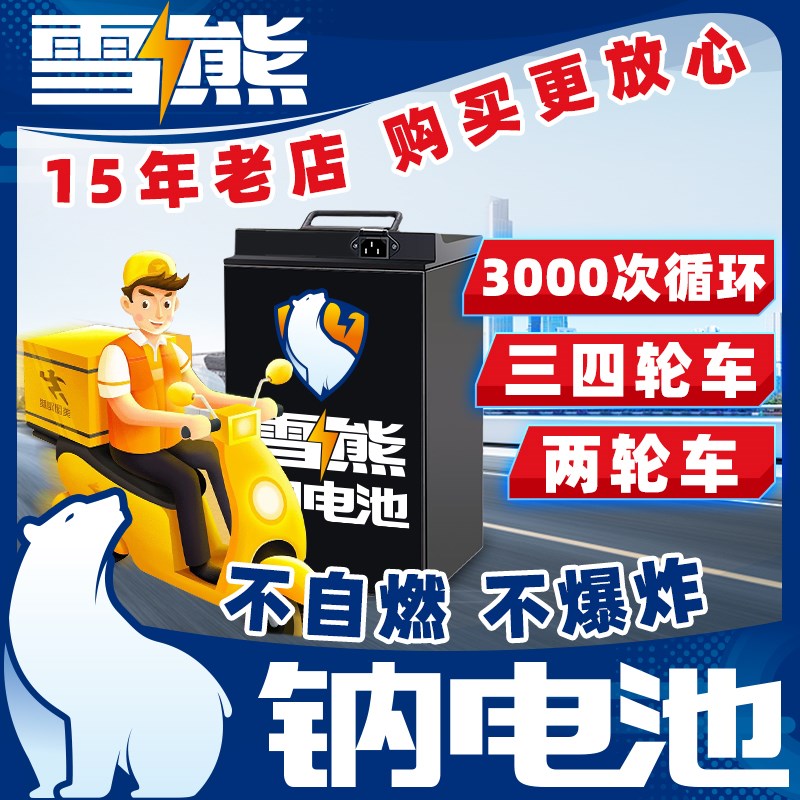 雪雄钠离子电池组平替锂电瓶两轮三轮电动车48v60v72伏外卖新国标