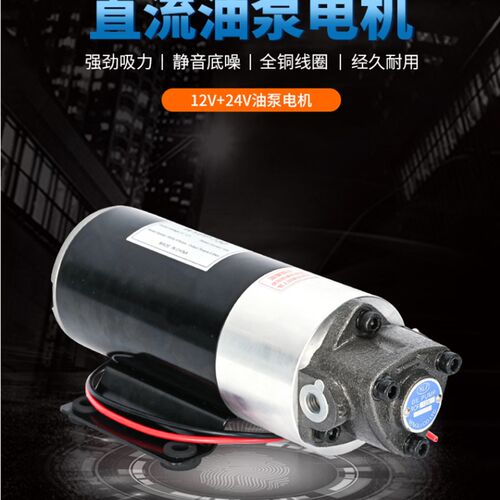 12V24V加油泵小型直流电机油泵汽车免拆清洗保养润滑泵12A-12V