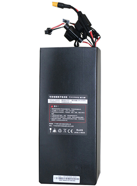 dyu大鱼智行车电动车自行车D1D2D3S2原装电瓶锂电36v10a8a电池