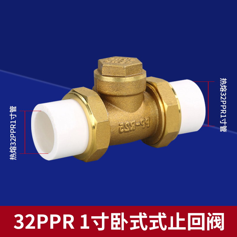 全铜4分20ppr双活接止回阀6分单向逆止阀卧式自来水热熔水表阀门