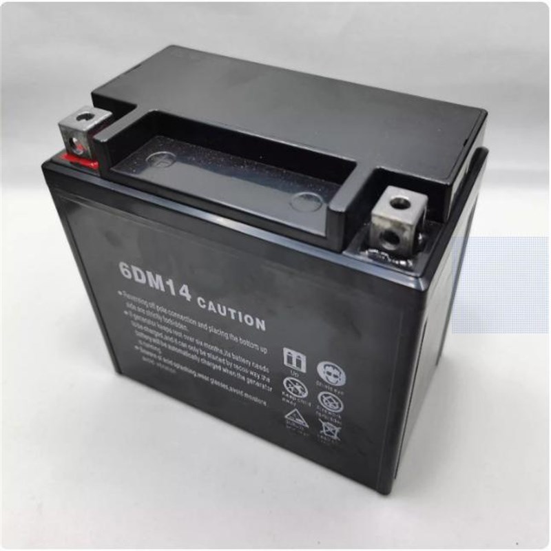 6DM18 6DM7 9 6DM10 6DM21蓄电池12V发电机水泵微耕机割草机电瓶