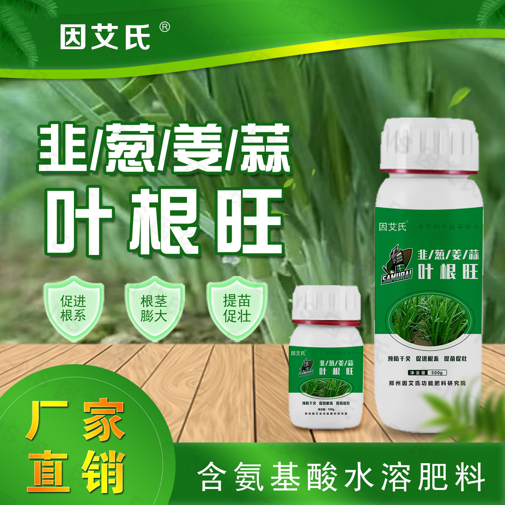 因艾氏叶根旺韭菜大葱大姜大蒜干尖黄叶喷剂生根壮苗增加叶绿素肥