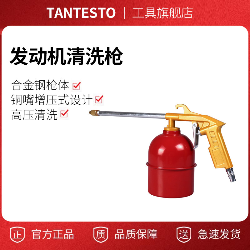 发动机清洗枪维修工具TANTESTO