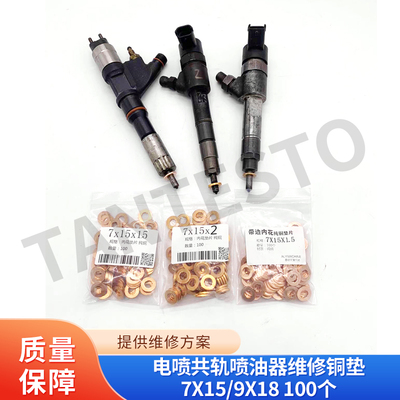 喷油器维修铜垫维修工具TANTESTO