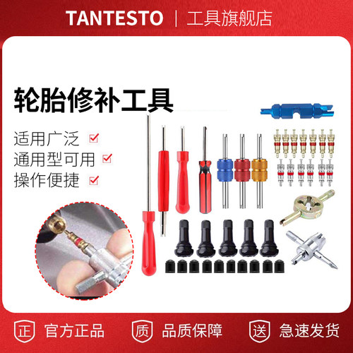 气门芯工具套装维修工具TANTESTO