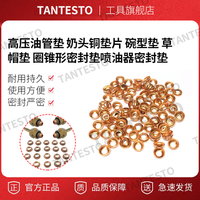 高压油管垫维修工具TANTESTO