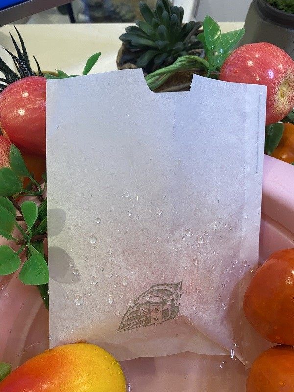 极速柚子专用套袋枇杷水蜜桃石y榴桃子苹果防虫袋子橙子梨子水果,农机/农具/农膜,水果套袋/果袋,淘宝优惠券,粉丝福利购,淘宝优惠卷