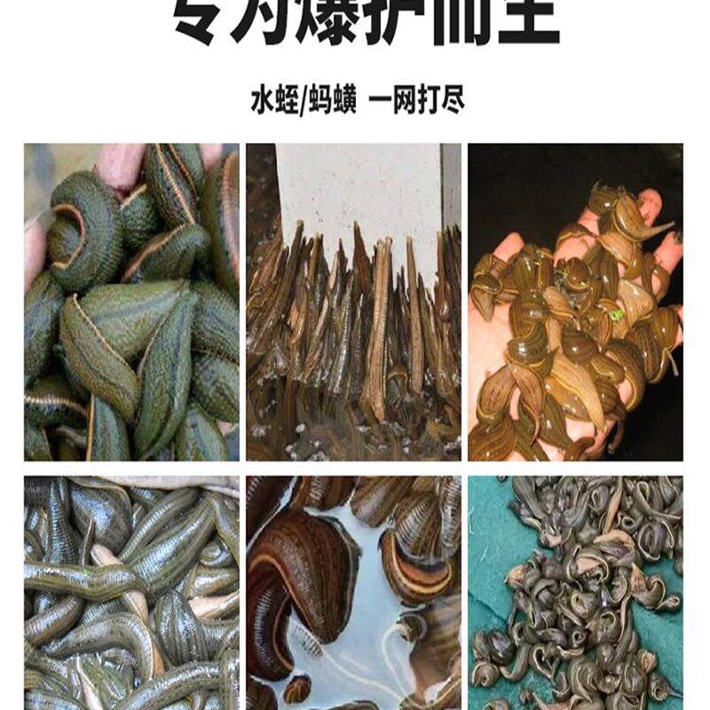 极速水蛭诱捕剂捕k捉器野钓捕捉蚂蝗鱼饵添加剂池塘河流水库专用