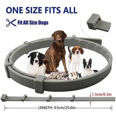 极速Flead and Tick Prevention for Dogs Dog Flea and Tick Con