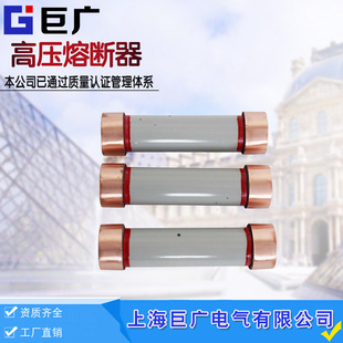 极速RXWO-35/0.5A户外高压限流熔断器 RXWO-40.5/0.5YA高压限流熔